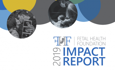 2019 Fetal Health Foundation Impact Report