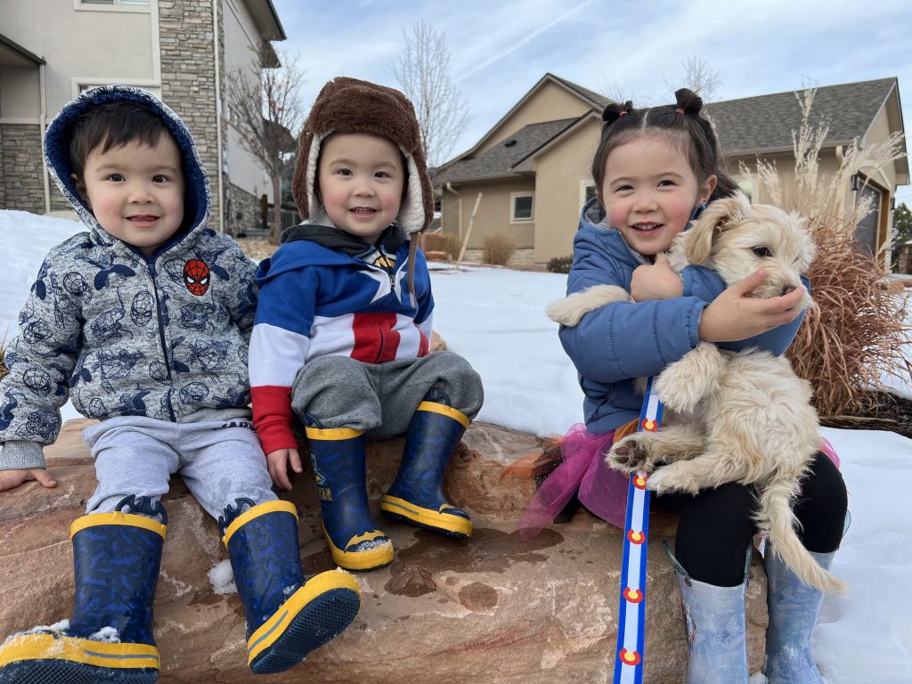 three childrens pose on a large flat rock. The boys wear superhereo sweatshirts and blue and yellow rain boots, the girl has her hair in two buns, wears a parka, and holds a puppy with a colorado flag leash,. There's snow on the ground. 